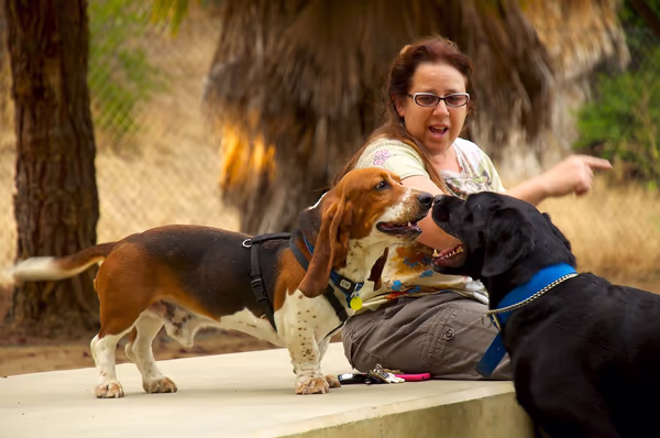 Miyuki Dog Park